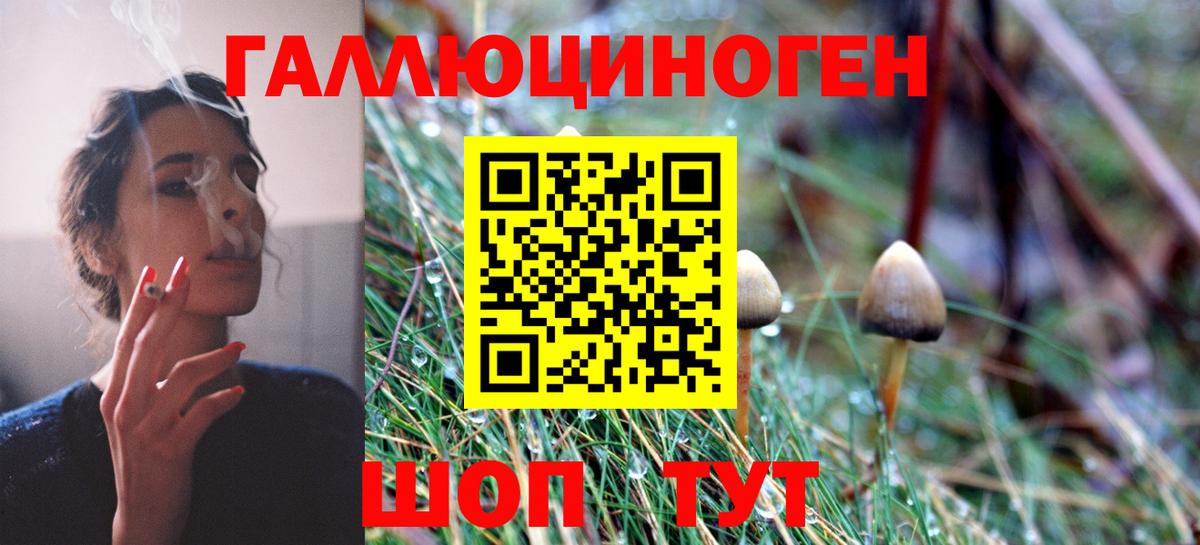 Псилоцибиновые грибы прущие грибы  Вход с VPN  Нурлат 