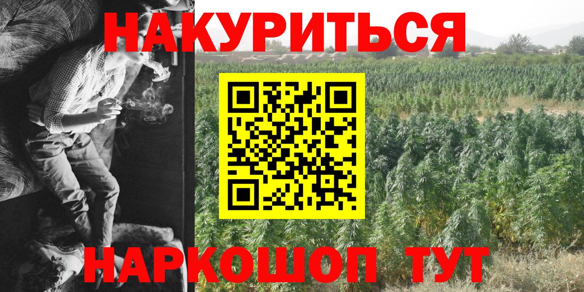МАРИХУАНА сатива Нурлат